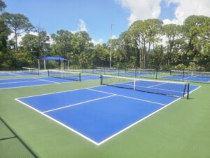 Outdoor tennis facility with multiple blue courts, nets, and surrounding greenery under a blue sky.