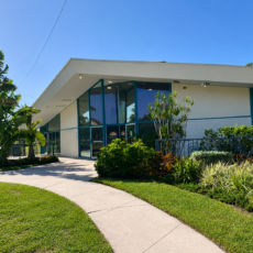 Modern glass-front building entrance surrounded by tropical plants and a curved concrete walkway on a sunny day.